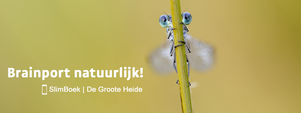 SlimBoek Nieuwsgierig1